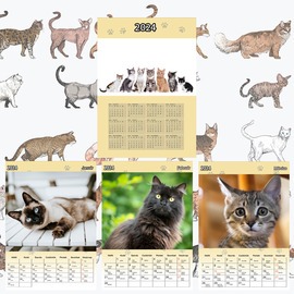 Egyedi fényképes cicás naptár