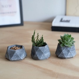 Sík lapos mintás növénytartó - "Plante" - fekete Sík lapos mintás növénytartó - "Plante" - fekete