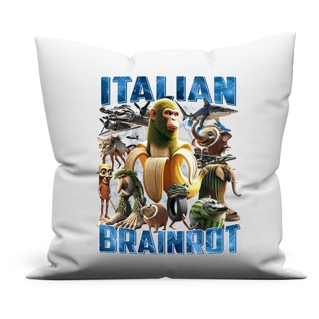 Brainrot párna Brainrot párna