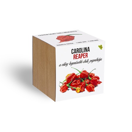 Carolina reaper chili paprika növényem fa kockában