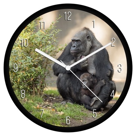 Gorillák falióra Gorillák falióra
