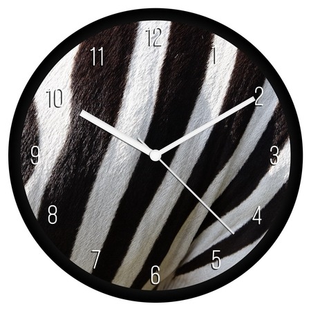 Zebra minta falióra Zebra minta falióra