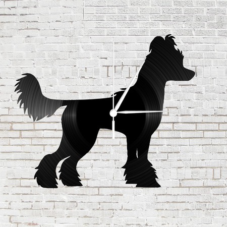 Bakelit falióra - Kínai meztelen kutya