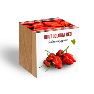 Szellem chili - Bhut Jolokia Red fa kaspóba