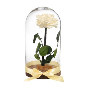 Örökrózsa üvegbúrában - nagy méretű pezsgő örök rózsa