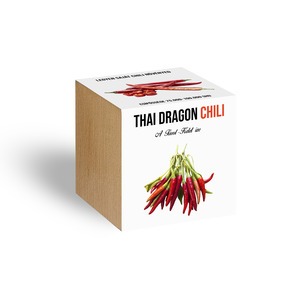 Thai Dragon chili növényem fa kaspóban