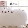 Pusheen cicás párna Pusheen cicás párna