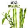 Moso Bambusz növényem fa kockában